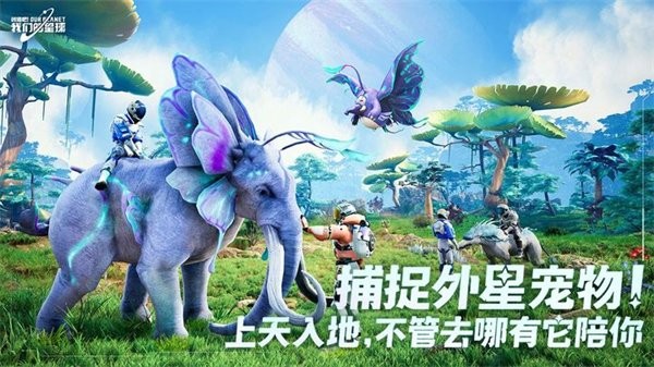 创造吧我们的星球游戏截图