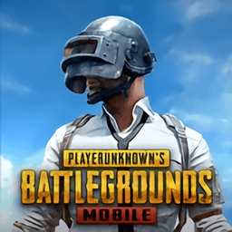 PUBG国际服