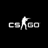 CSGO电脑版 v2.10.91.91