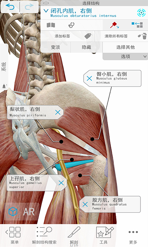 3D人体解剖app截图