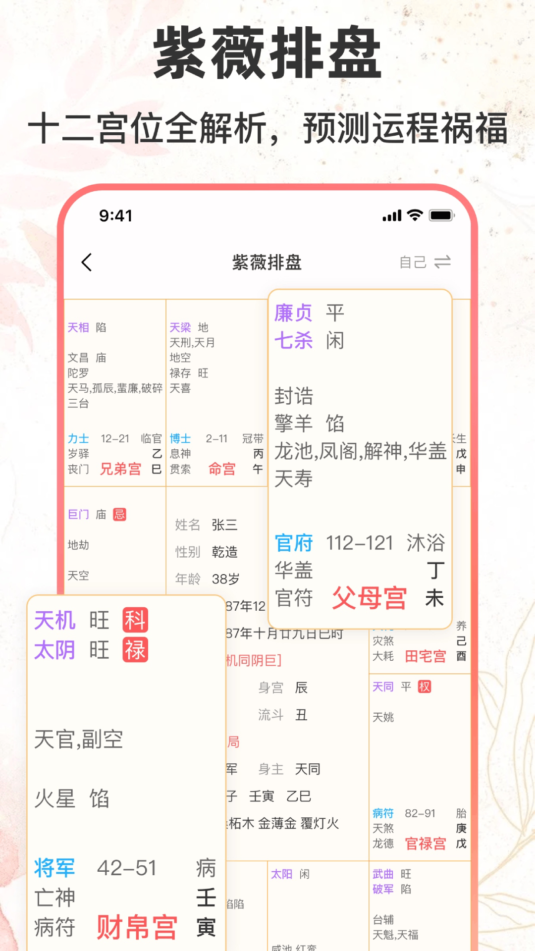 八字排盘助手app截图