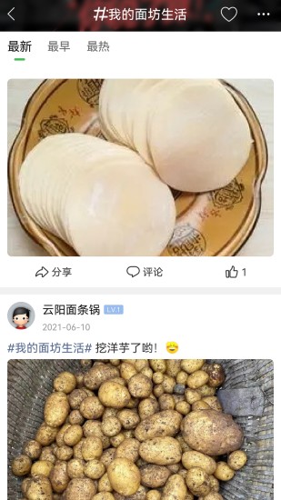 重庆鲜面条下载介绍图