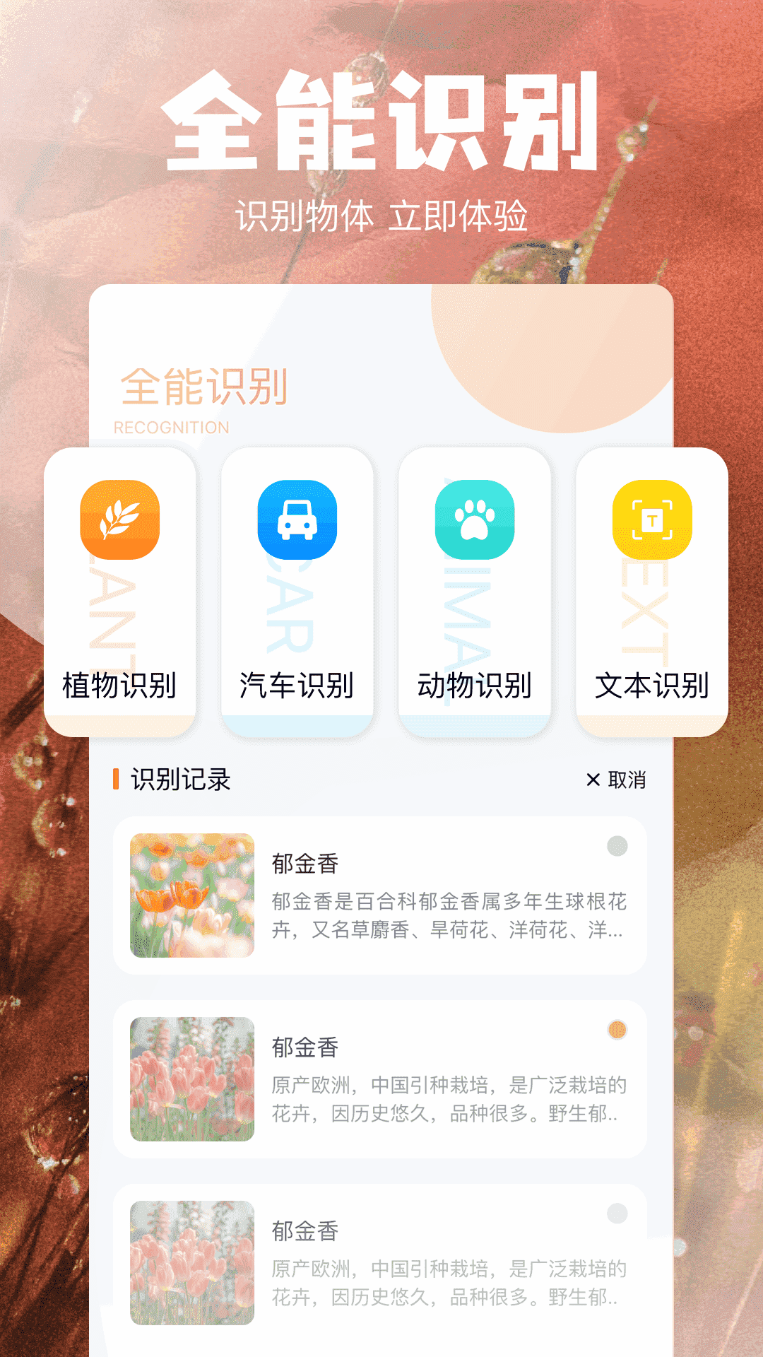 当贝助手下载介绍图