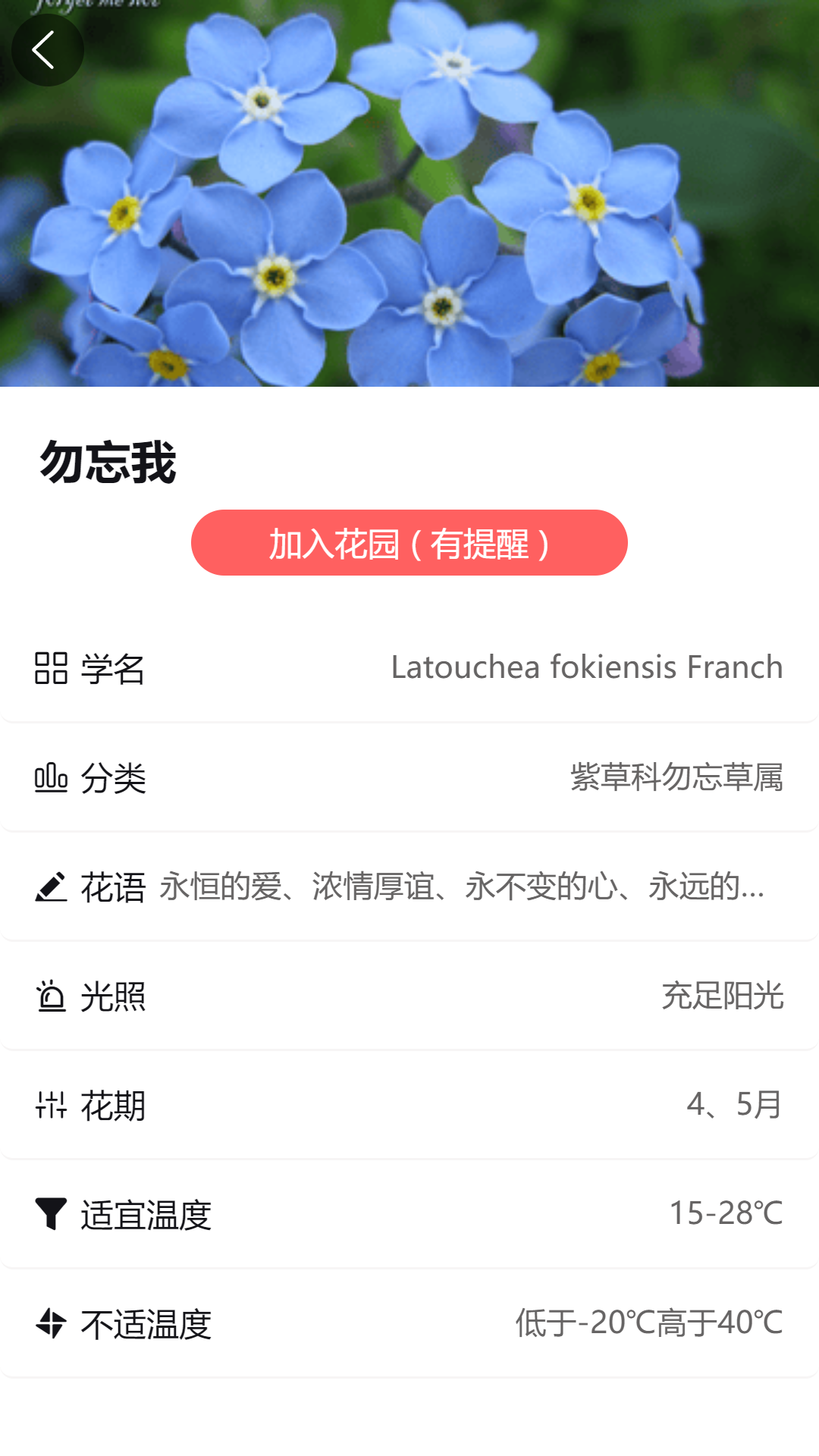 东篱花草下载介绍图