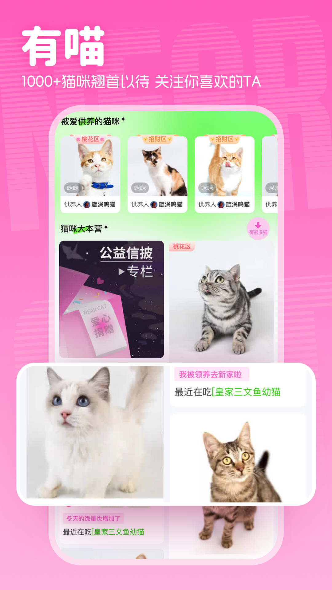 附近有喵app截图