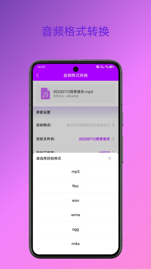 格式转换专家app截图