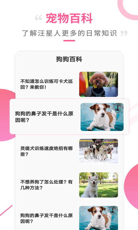 狗语翻译工具app截图