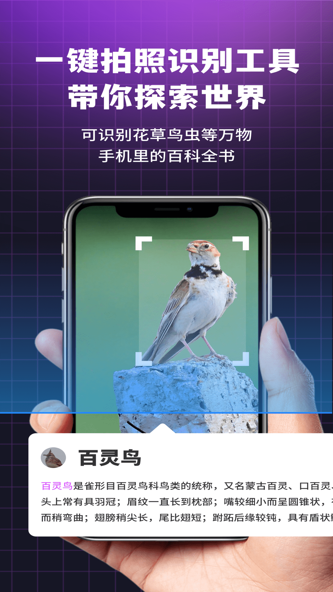 i浏览器无痕版app截图