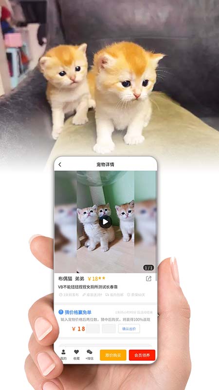 集咪舍app截图