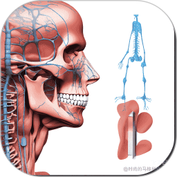 解剖和生理学 v1.0.0