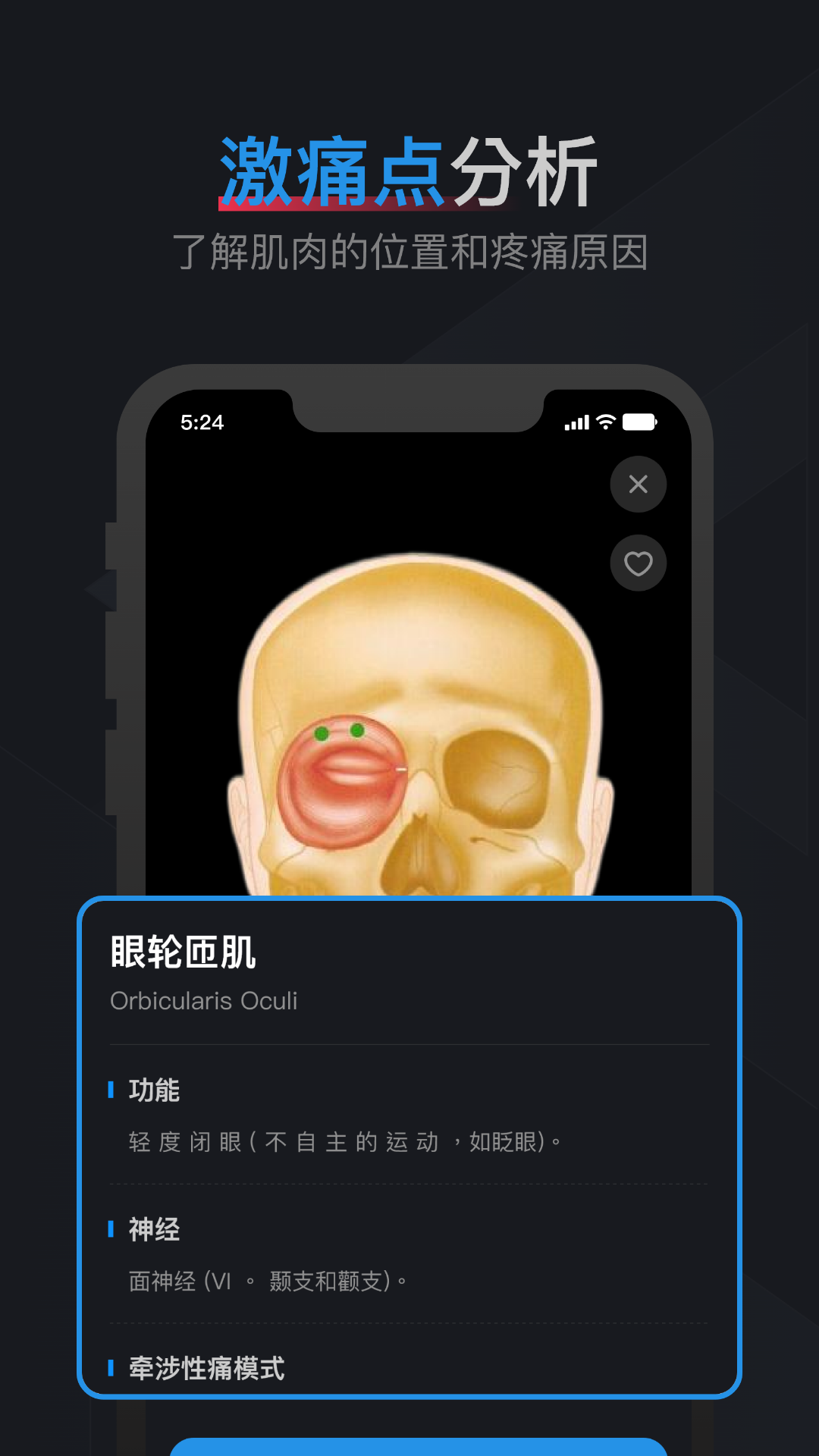 肌肉激痛点图谱app截图