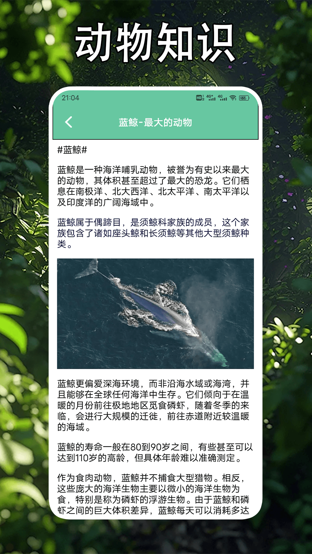 畸形动物园下载介绍图