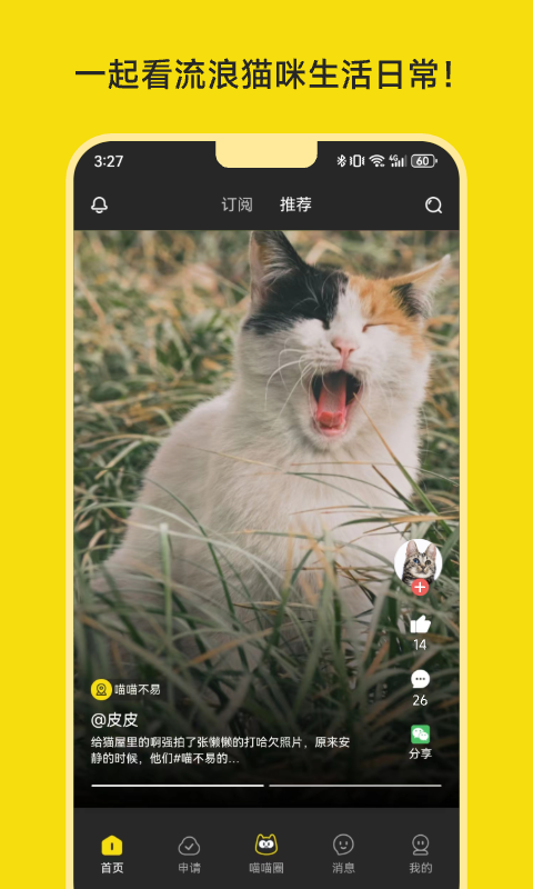 喵喵不易app截图