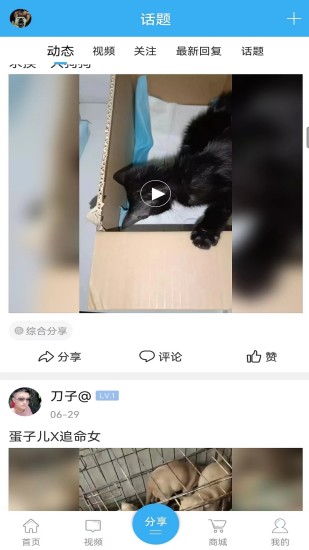 猛犬俱乐部下载介绍图