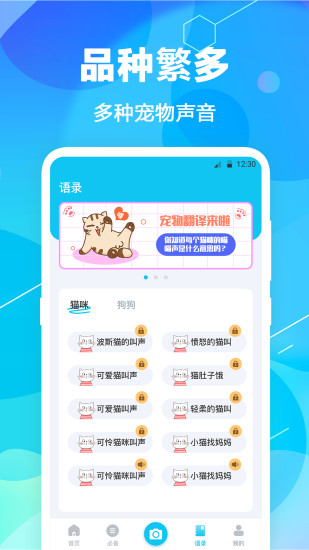 猫语翻译pet下载介绍图