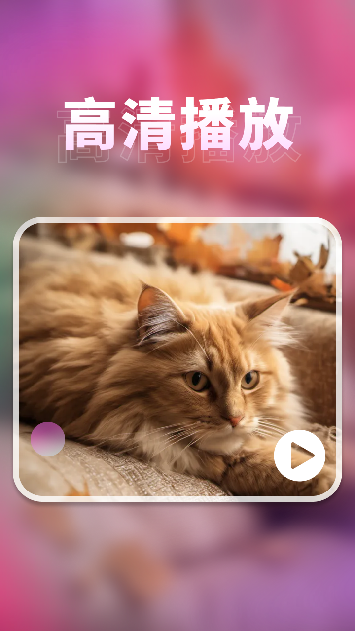 密影速播播放器app截图