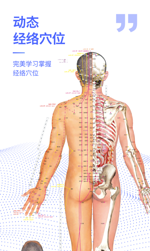 人体3D解剖图谱app截图