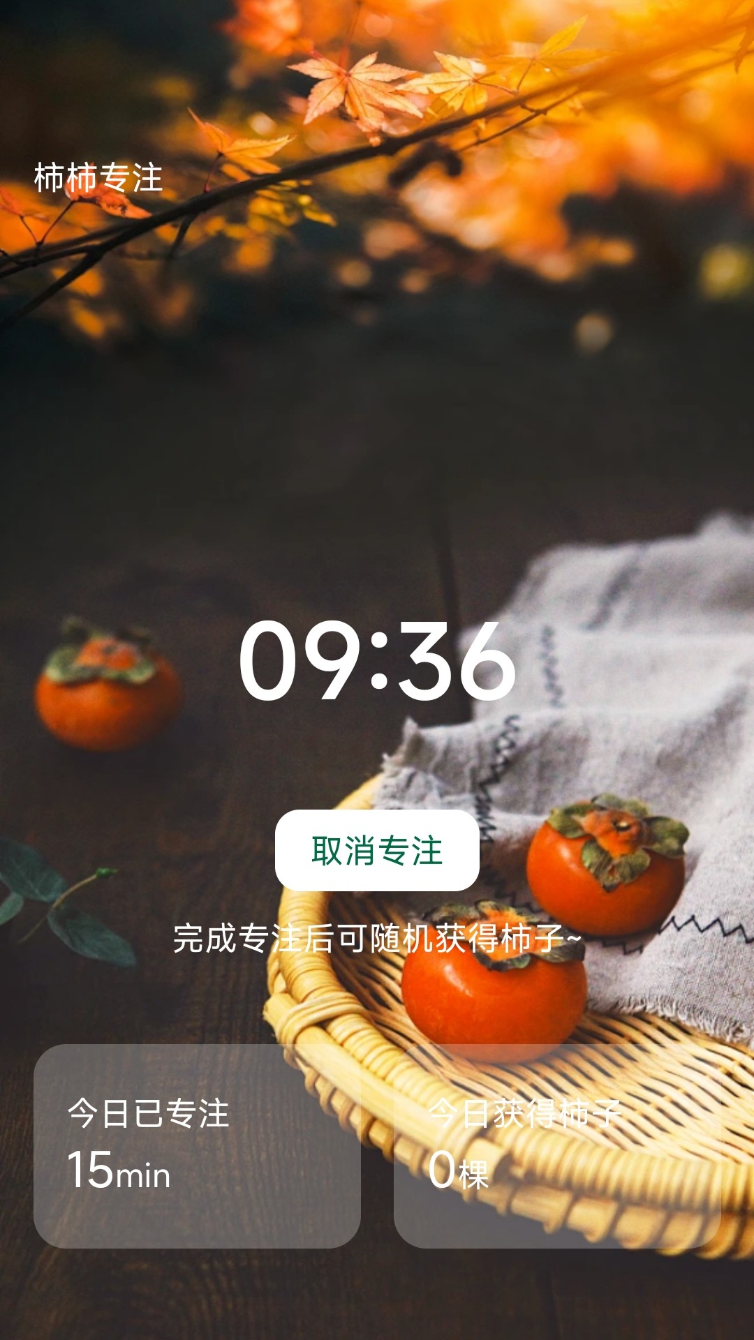 柿柿乐行下载介绍图