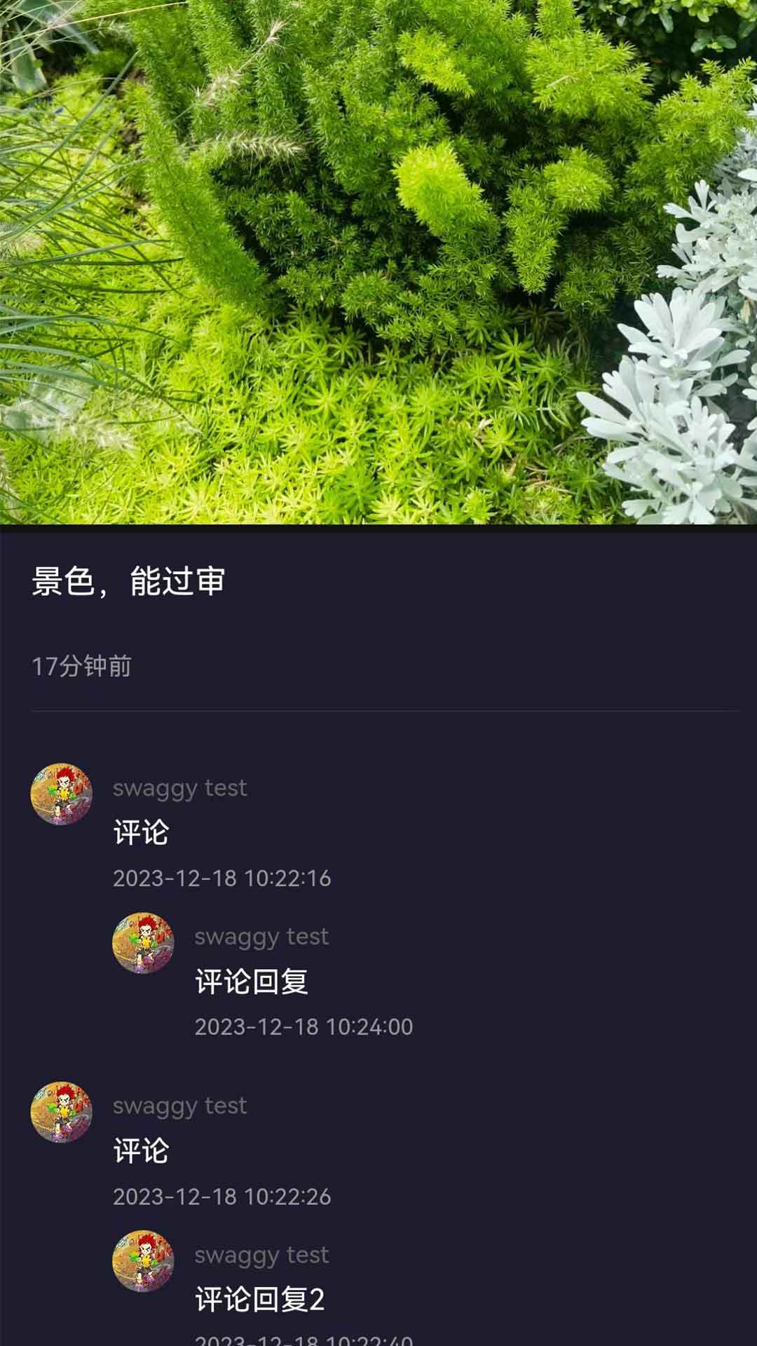 SWAGGY下载介绍图