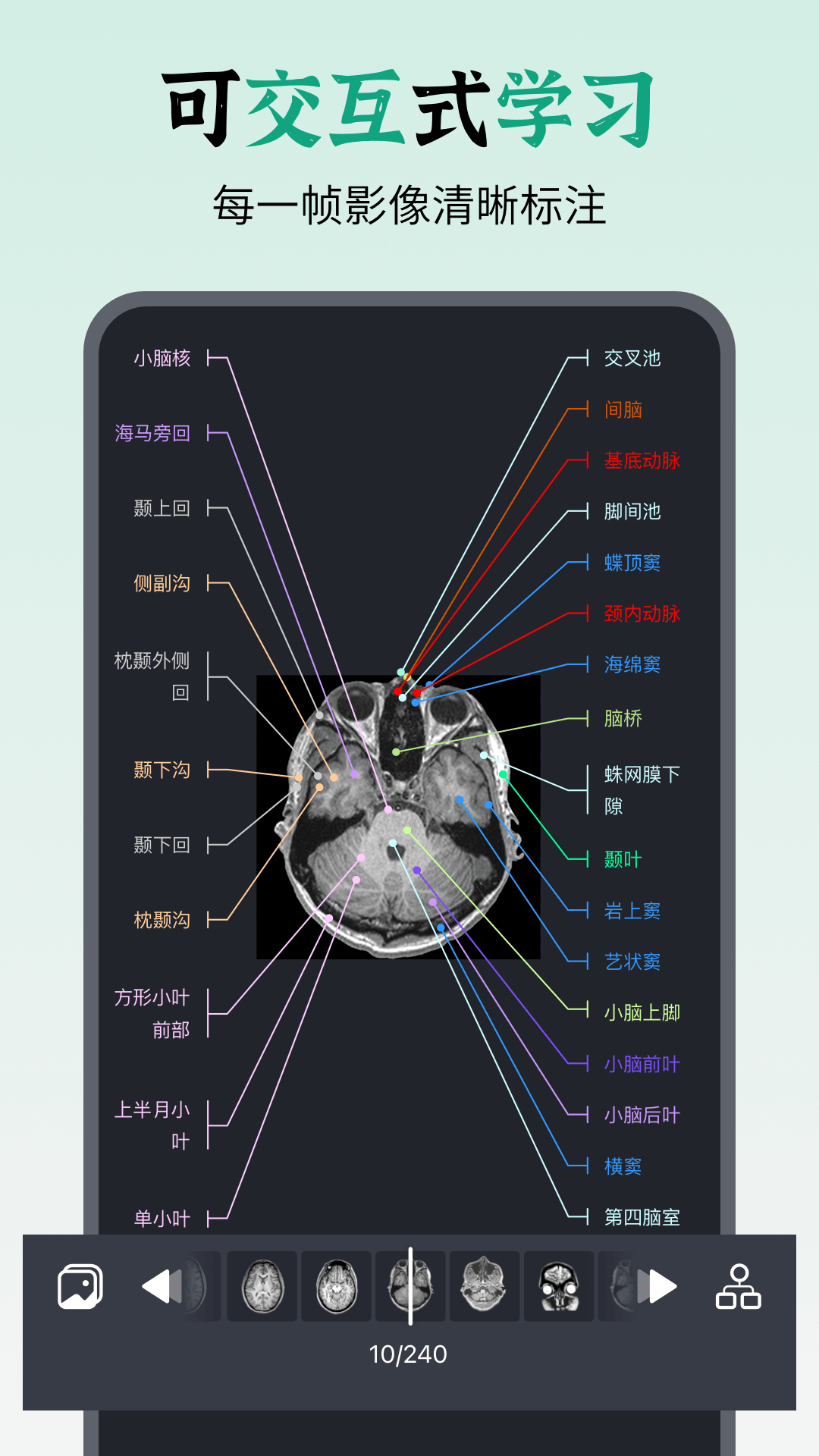 万康人体解剖app截图