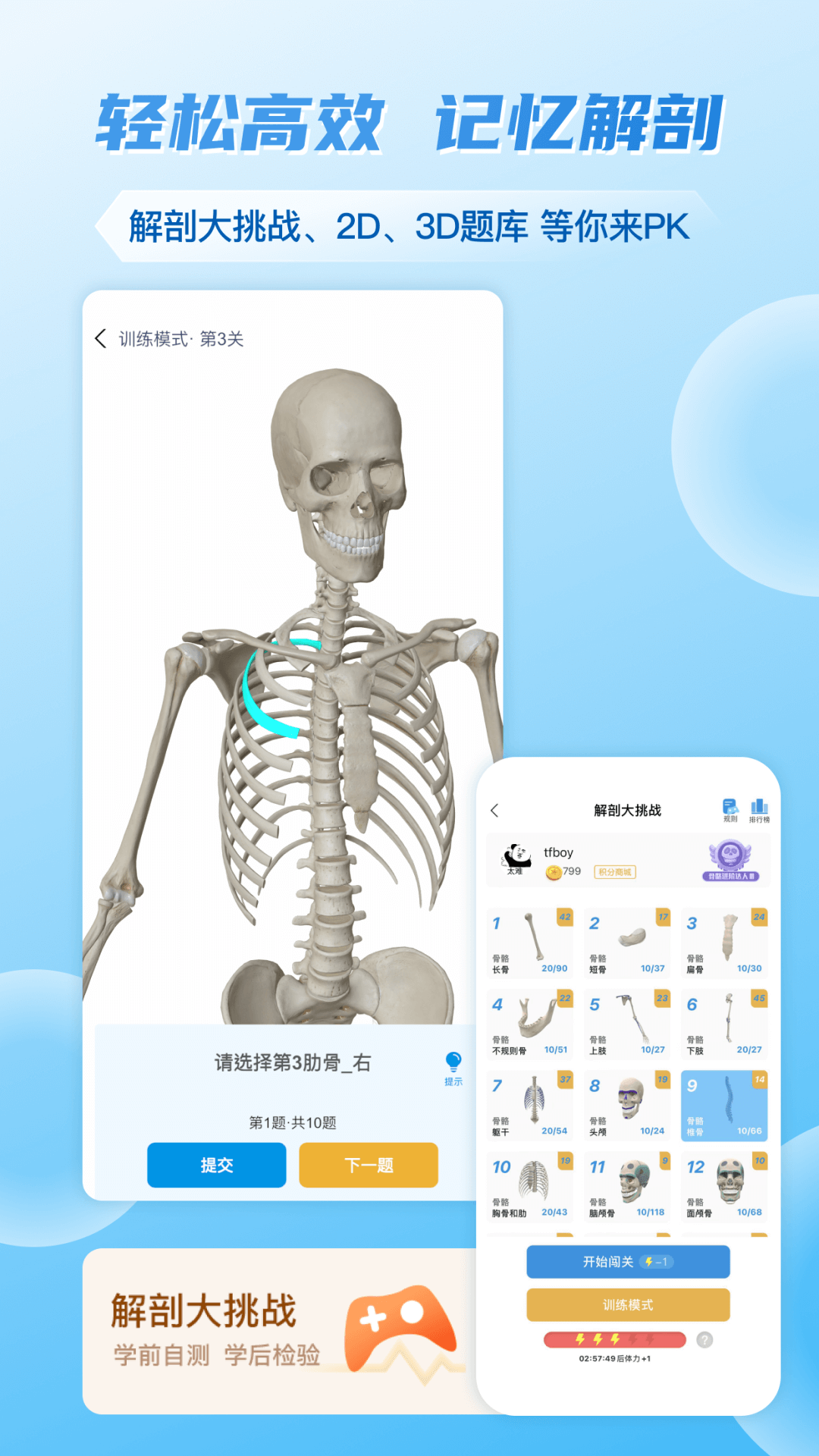 维萨里3D解剖下载介绍图