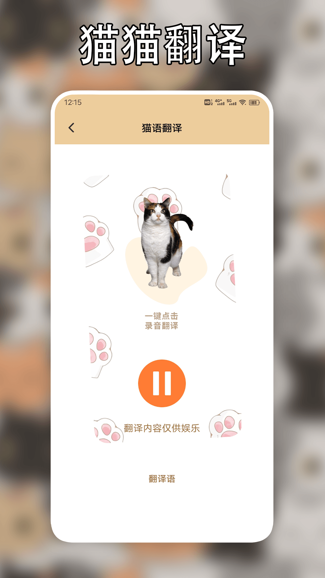 遇见我的猫下载介绍图