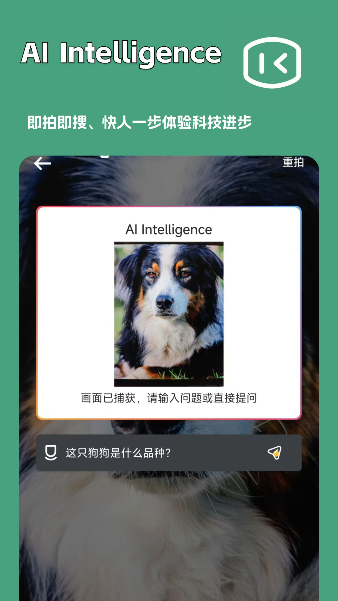 一键文章生成器app截图