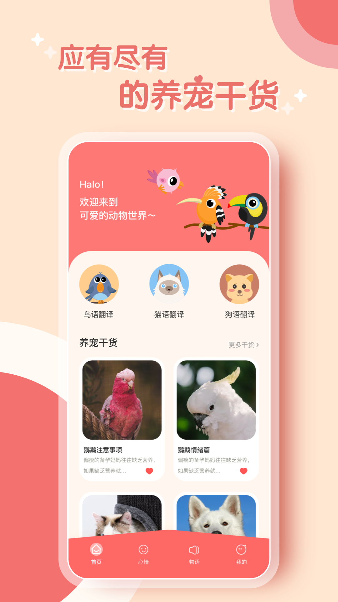 鹦鹉翻译器app截图