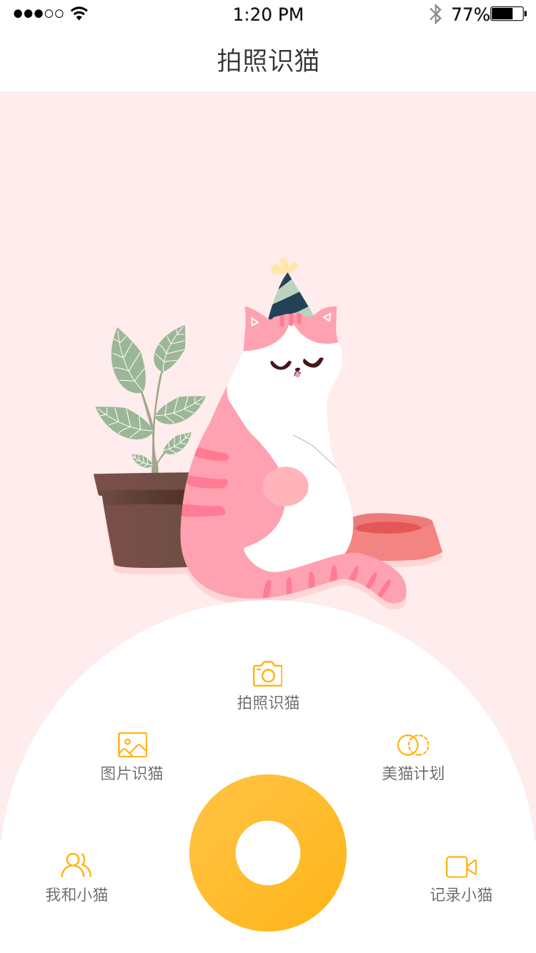 云养猫app截图