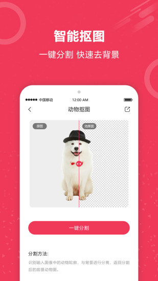 自动抠图神器下载介绍图