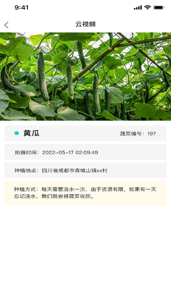 指尖种菜app截图