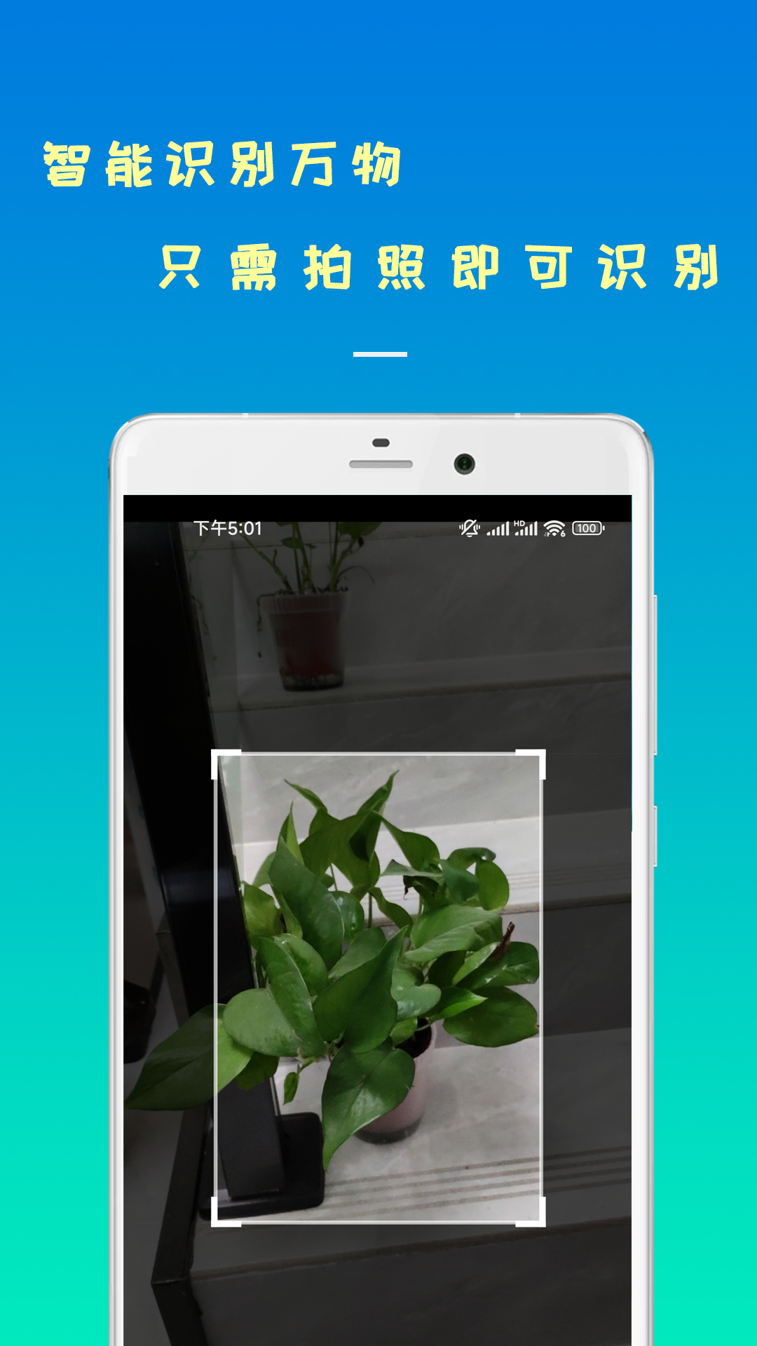 智能识物app截图