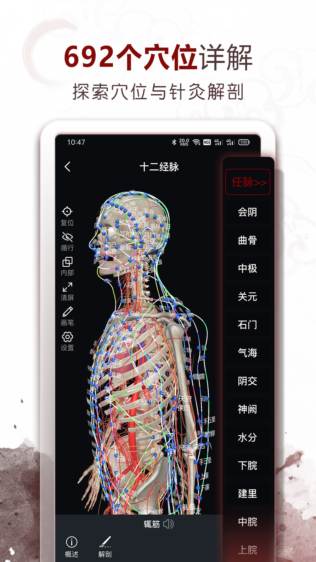 中医经络穴位app截图